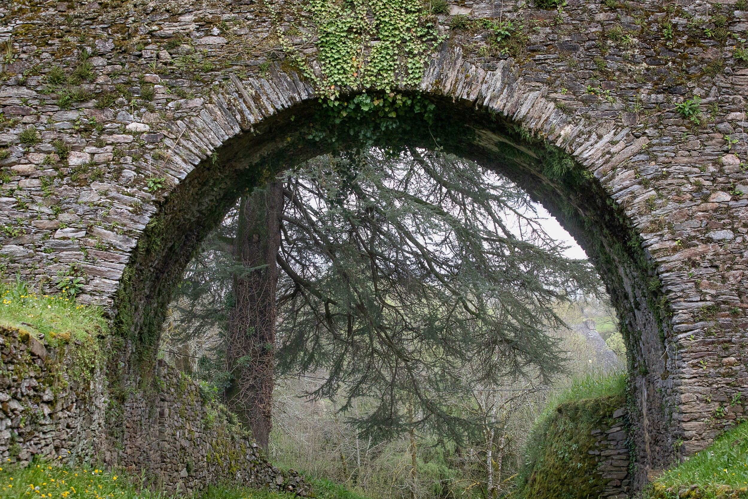 castrum-chateau-de-segur-yannmonel-2844.jpg