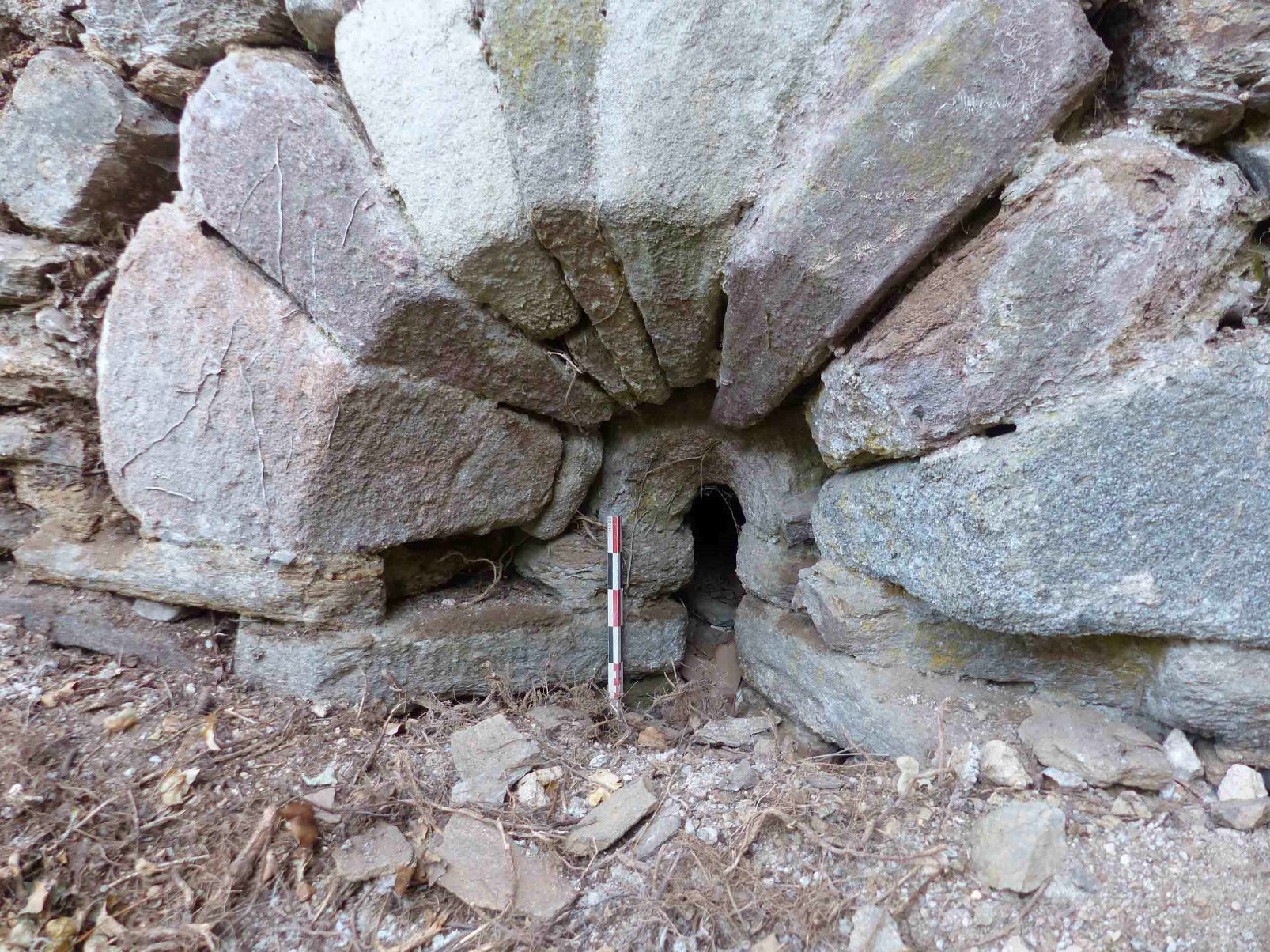figure-9.jpg