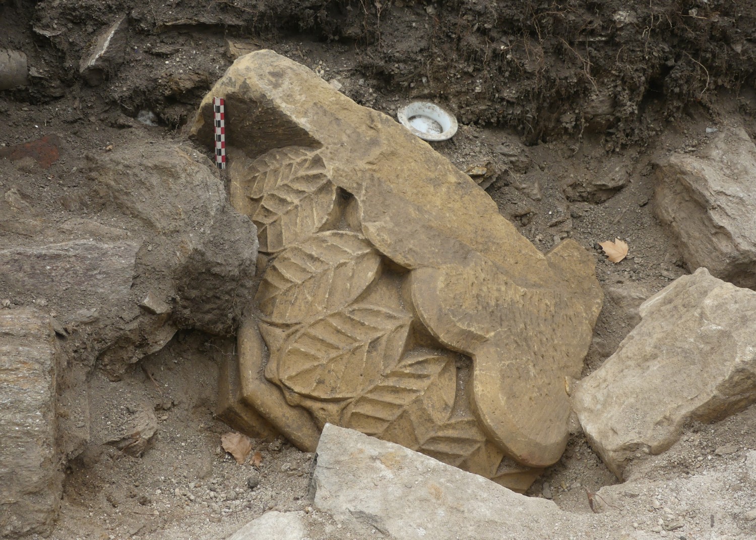 castrum-chantier-07.jpg