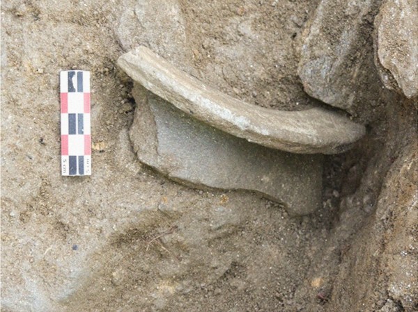 fig-10.jpg