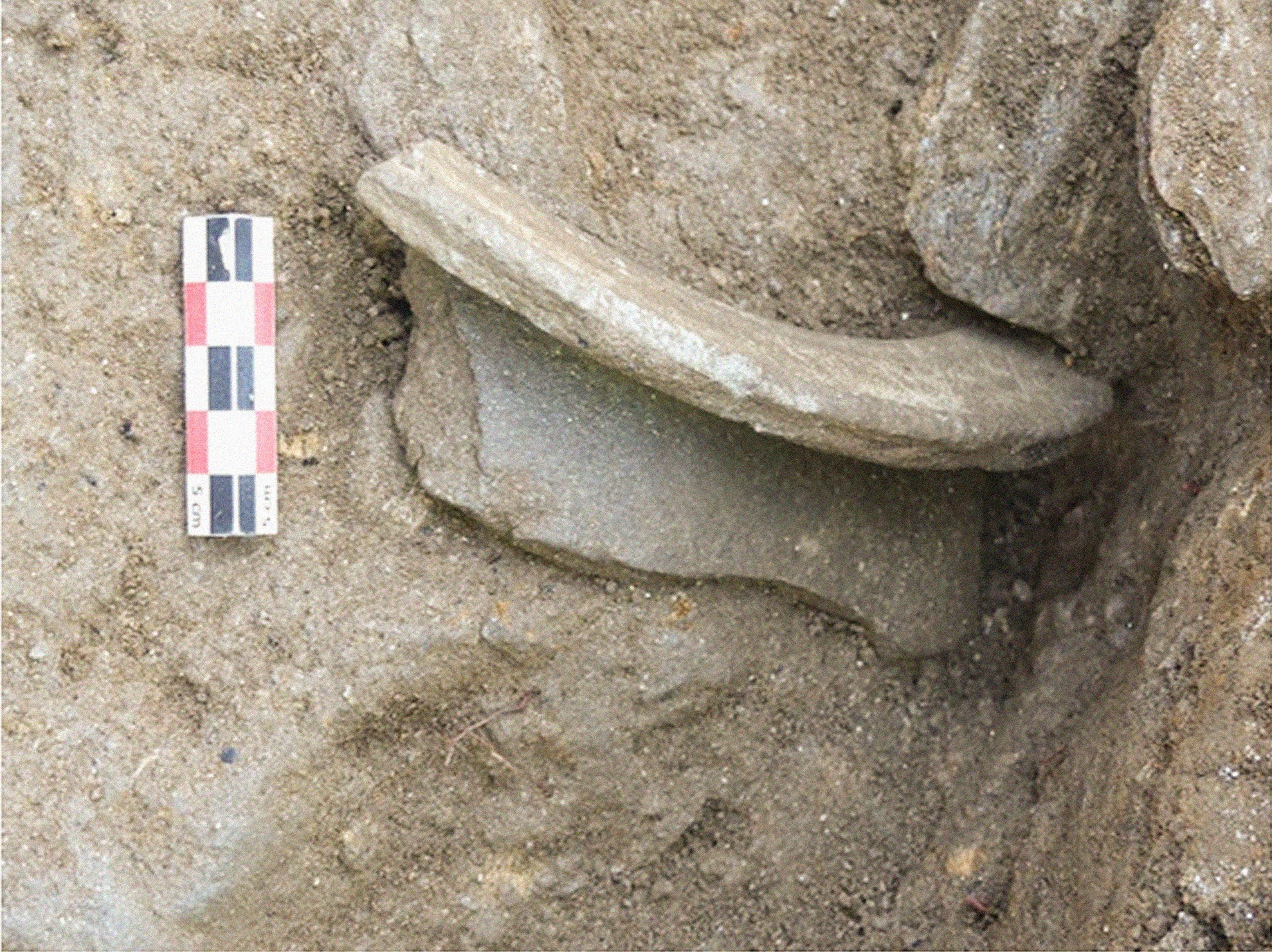 fig-10.jpg