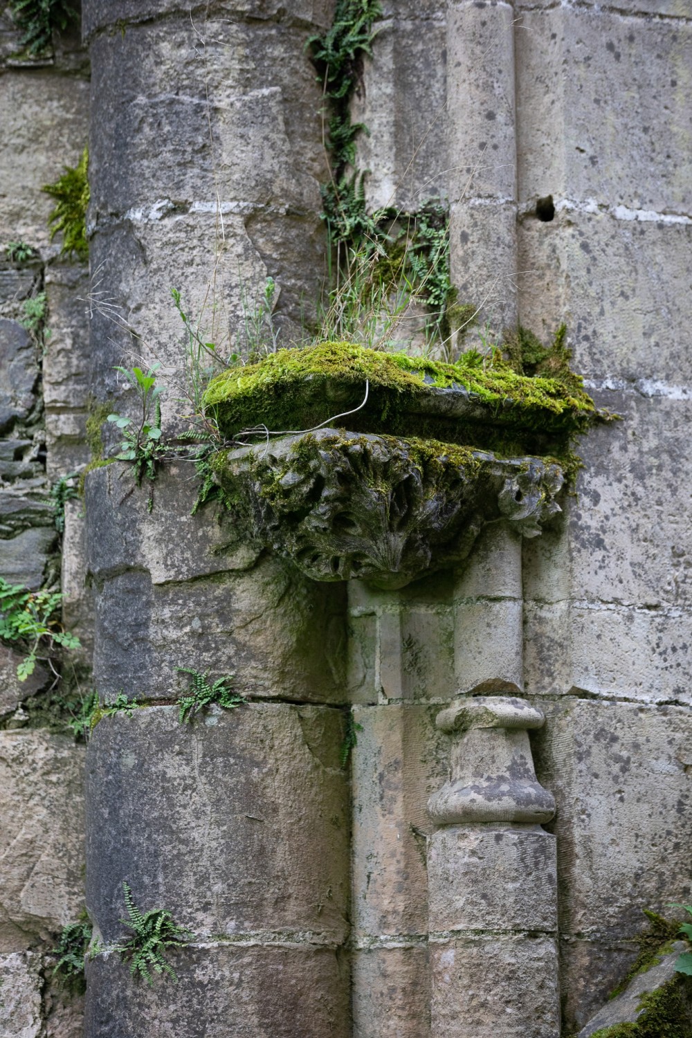 castrum-seguryannmonel-3135.jpg